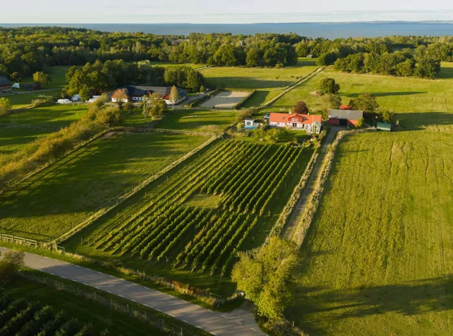 Aftonmora Winery