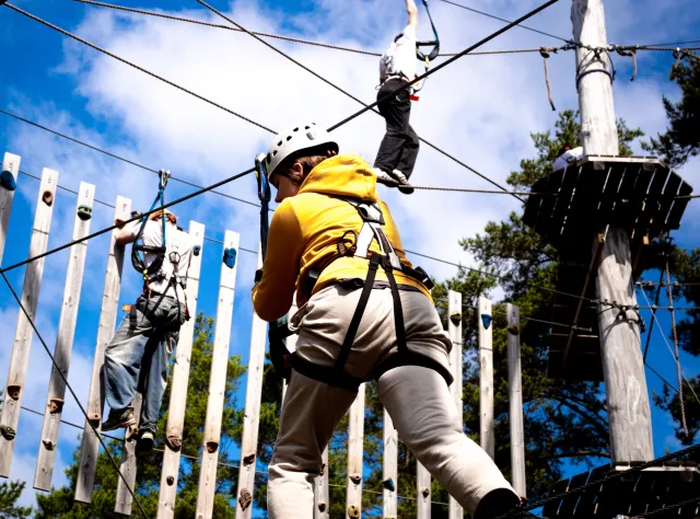 Children in a climbing zone 