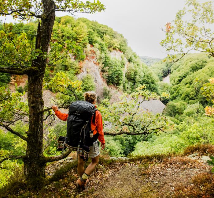 Ein Wanderer blickt auf eine Schlucht im Wald im Naturschutzgebiet Söderåsen