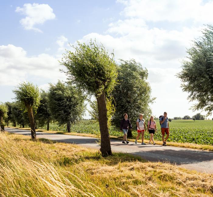 Four people hiking on a country road with fields around