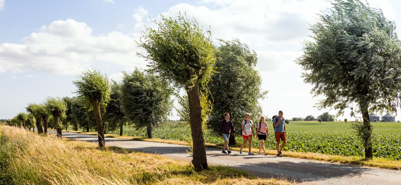 Four people hiking on a country road with fields around