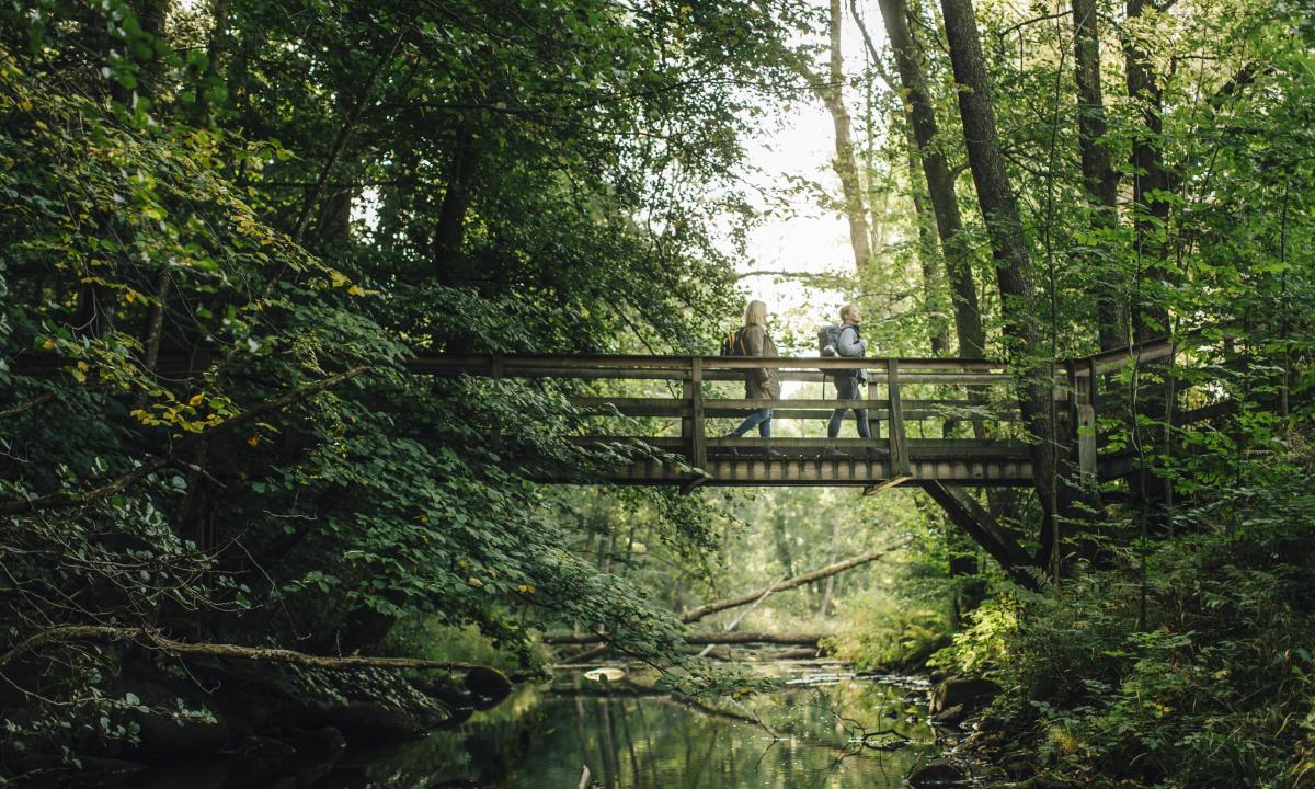 Söderåsens Nationalpark