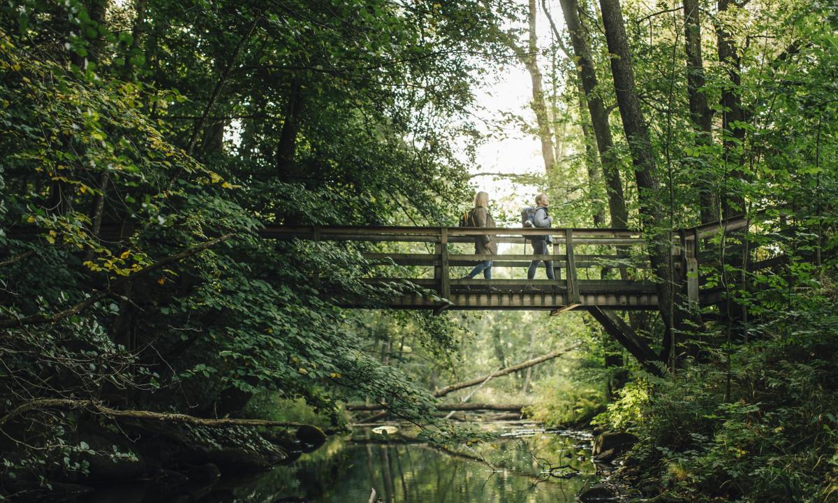 Der Söderåsen-Nationalpark