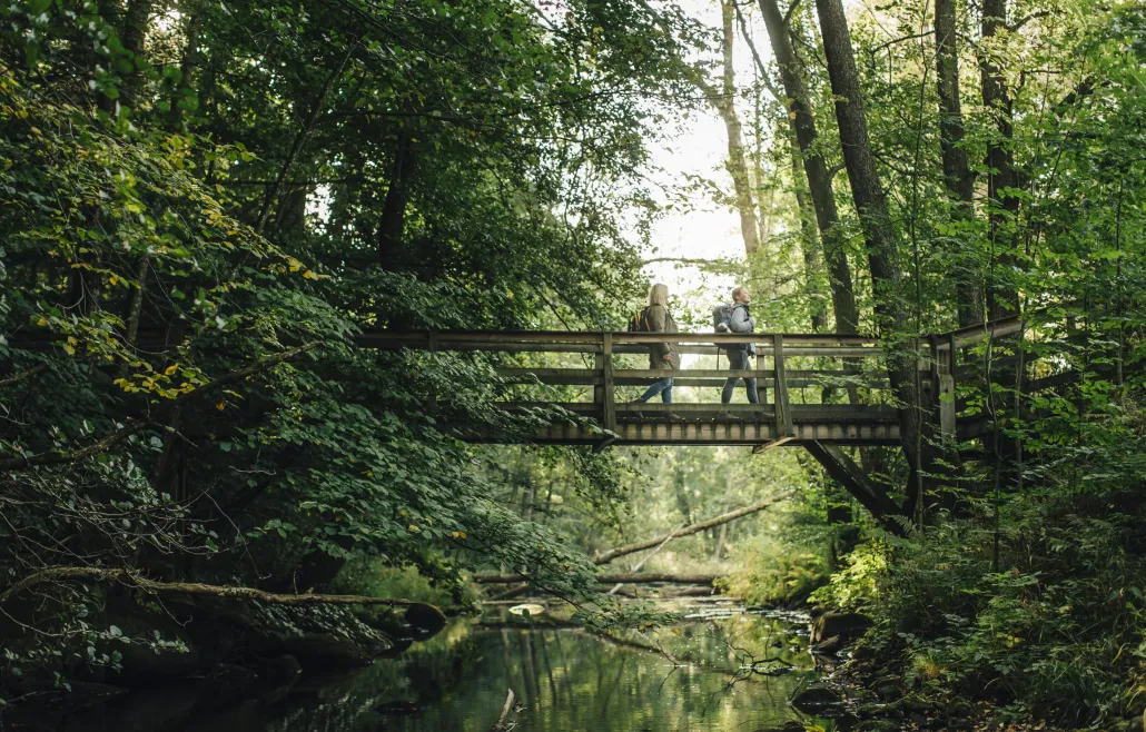Söderåsens Nationalpark