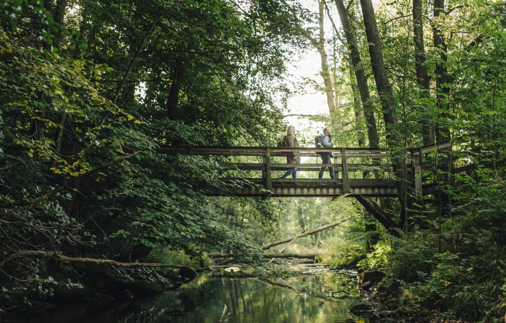 Der Söderåsen-Nationalpark
